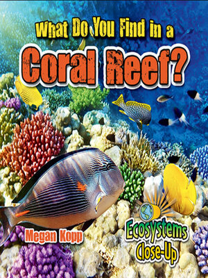 cover image of What Do You Find in a Coral Reef?